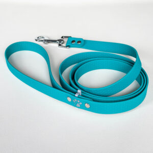 Hexa klasičen povodec - turkizna